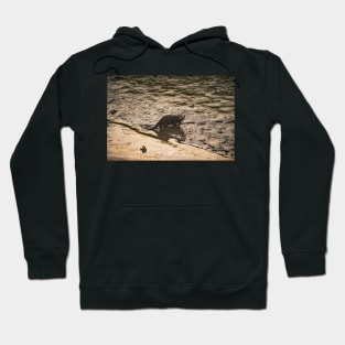 Otter Hoodie